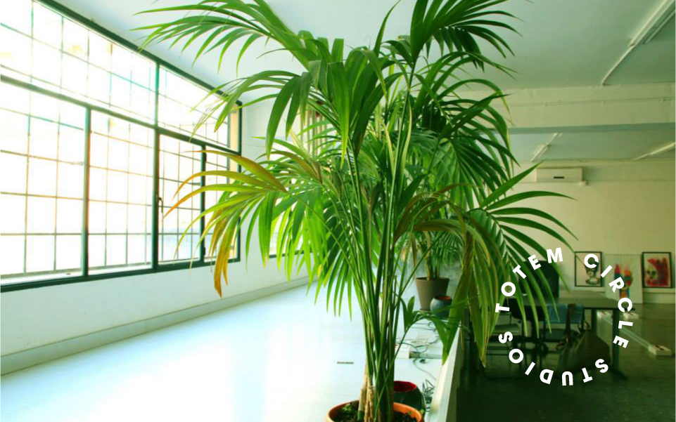 consultancy design totem